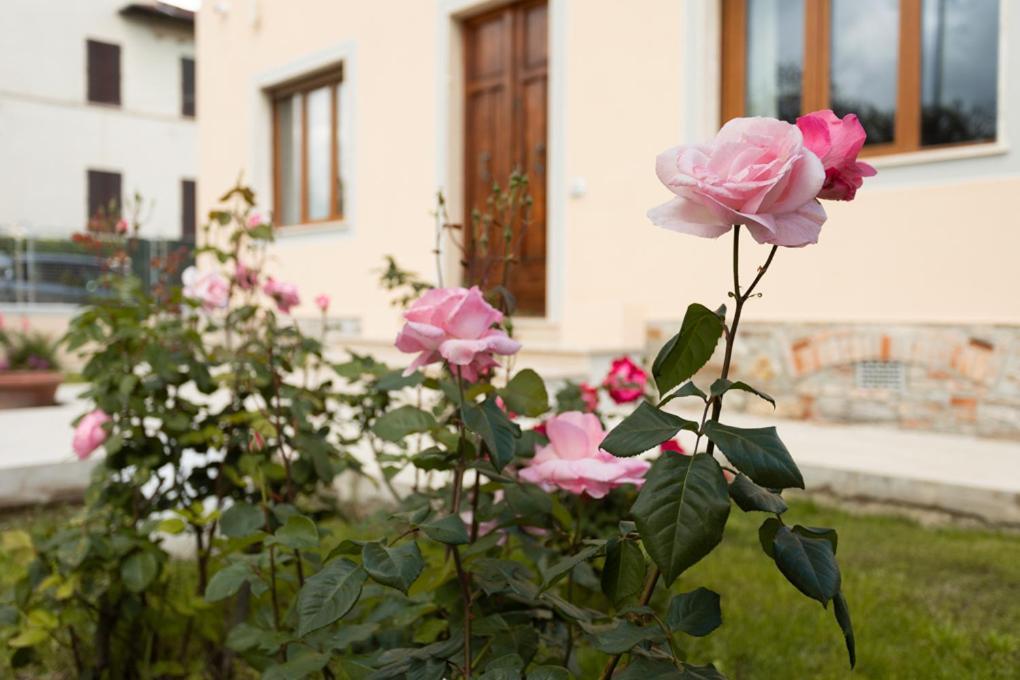 Villa Rosa Antica Lucques Extérieur photo